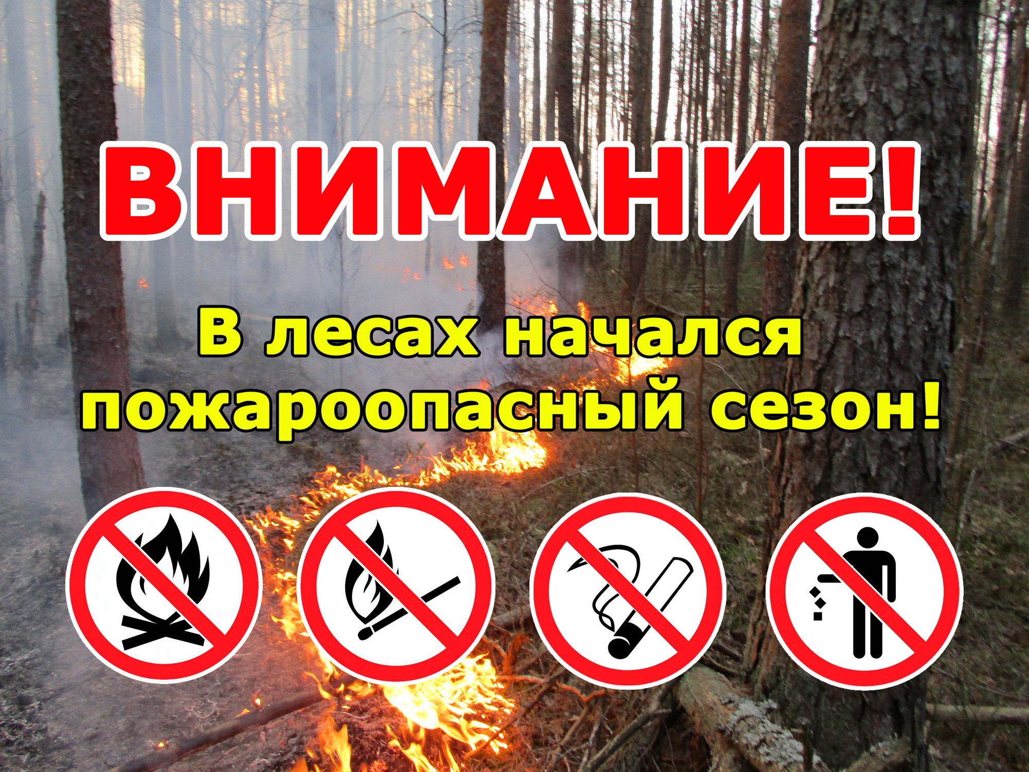 🌲🔥 Приказ о начале пожароопасного сезона в лесах Красноярского края с 26 марта 2025 года.