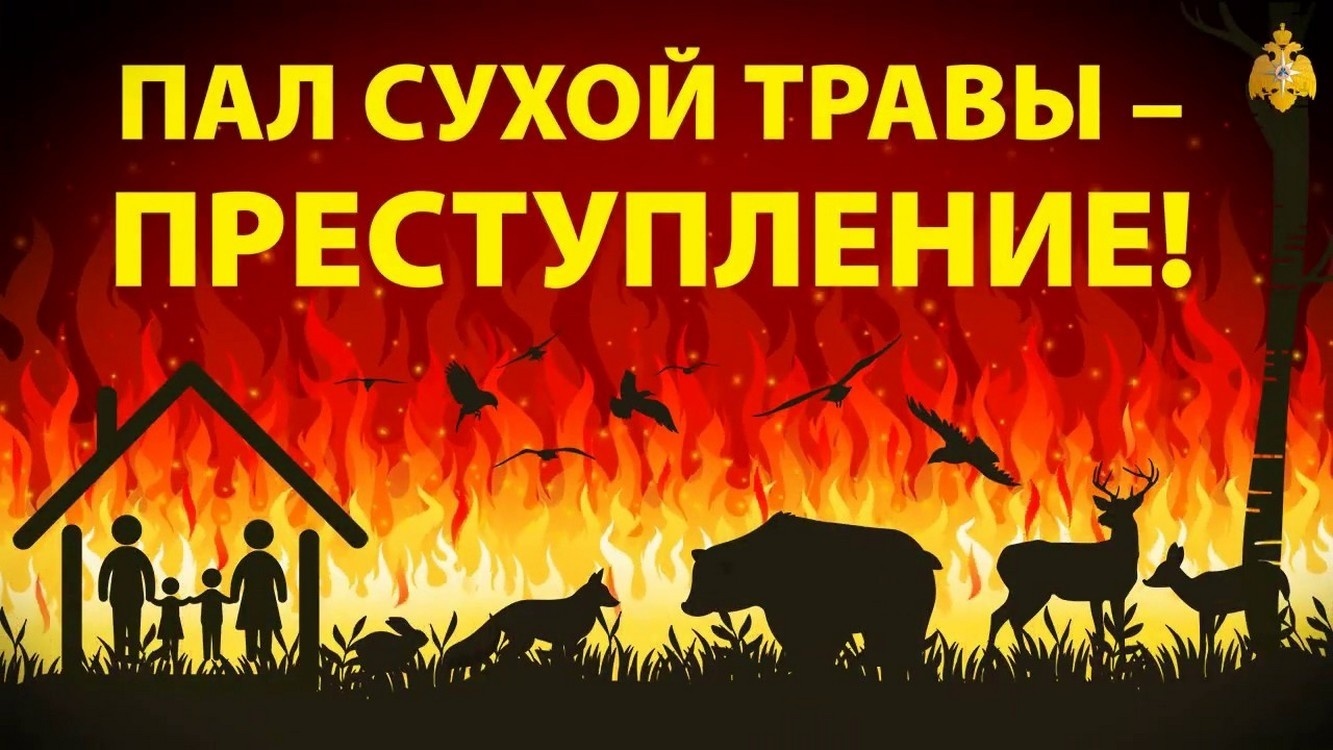 Опасность травяных палов!.