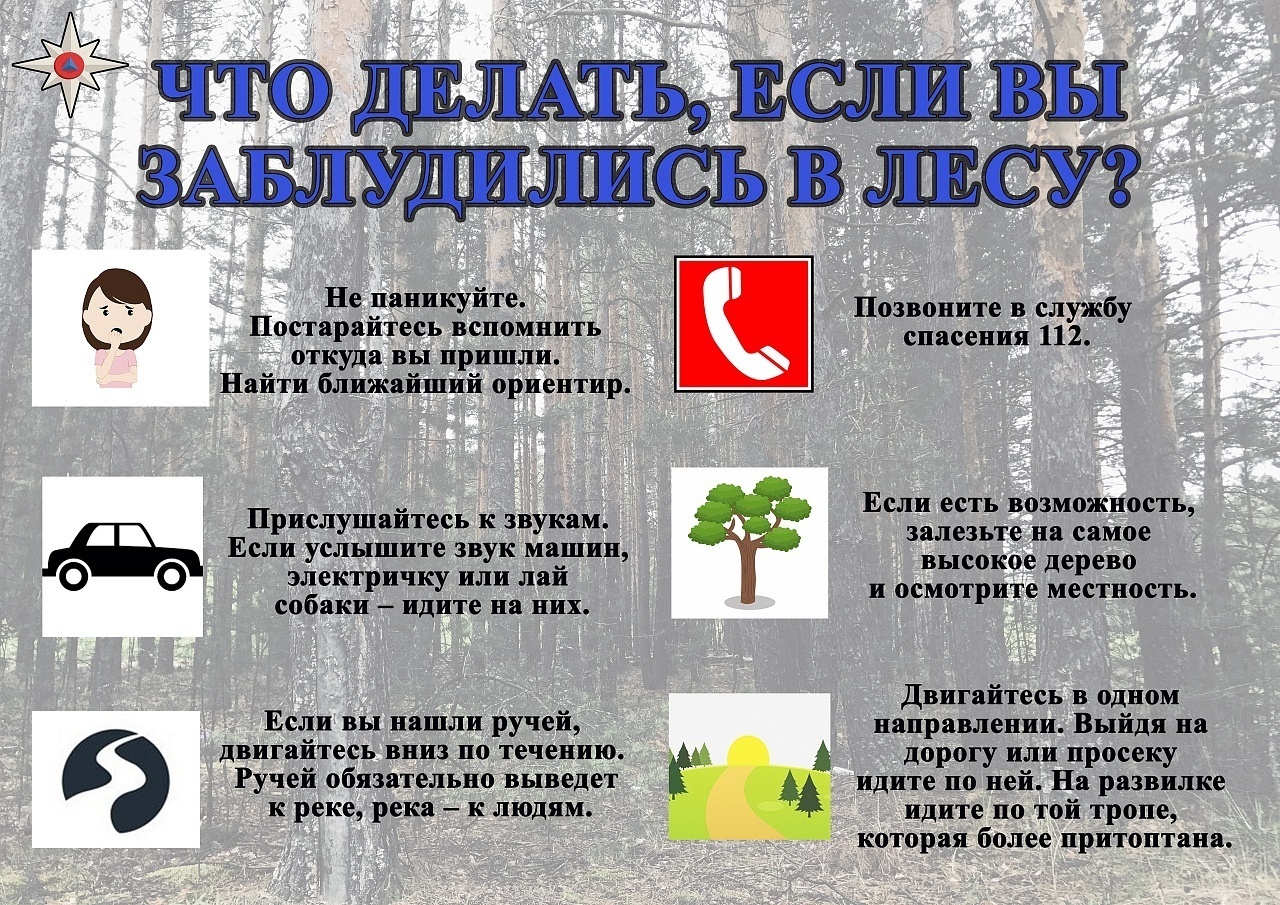 Летний сезон открыт! Как не заблудиться в лесу?.