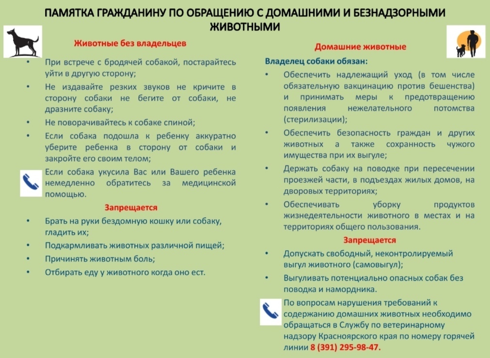 Правила обращения с домашними и беспризорными собаками.