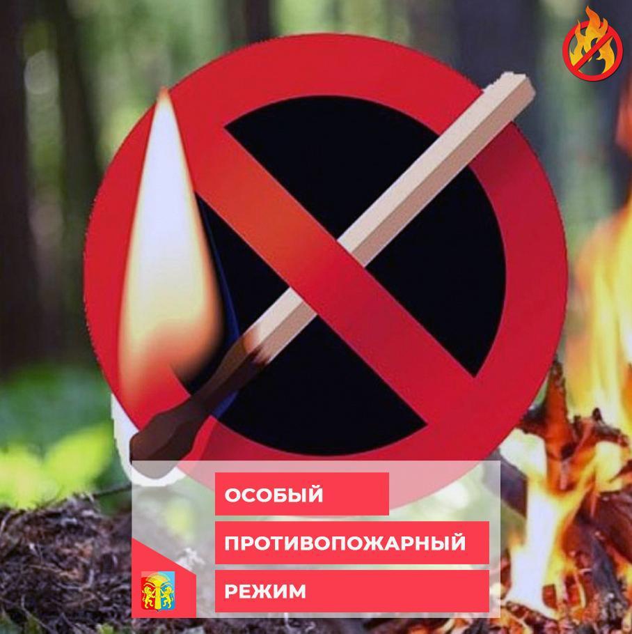 Особый противопожарный режим в Канском районе введут с 28 апреля.
