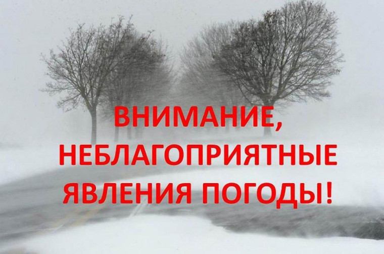 Оставайтесь дома!. Оставайтесь дома!.