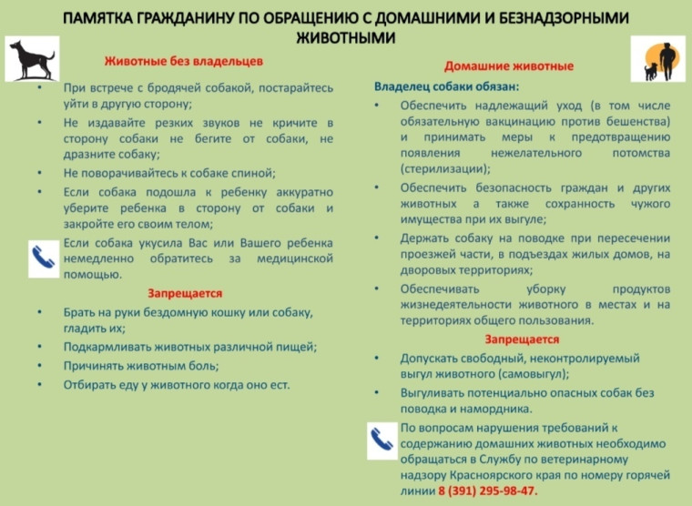 Правила обращения с домашними и беспризорными собаками. Правила обращения с домашними и беспризорными собаками.