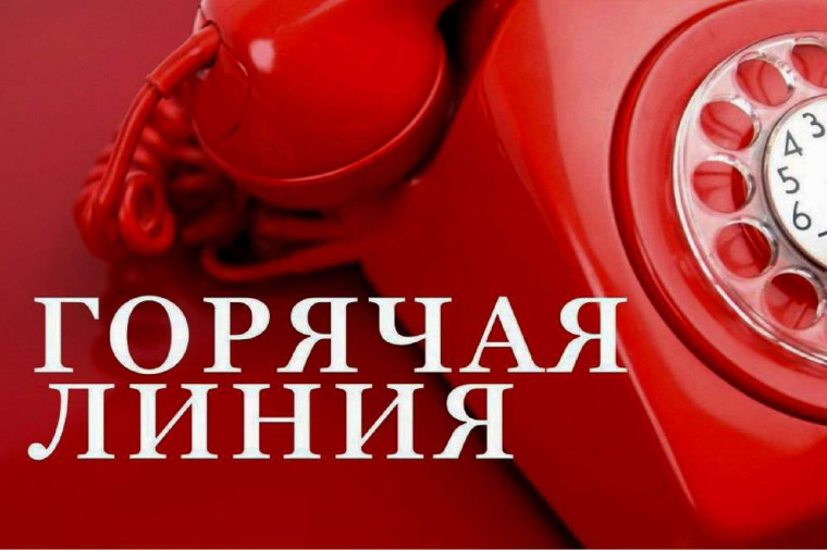 Круглосуточная «Горячая линия» по вопросам соблюдения законодательства в сфере лесопользования. Круглосуточная «Горячая линия» по вопросам соблюдения законодательства в сфере лесопользования.