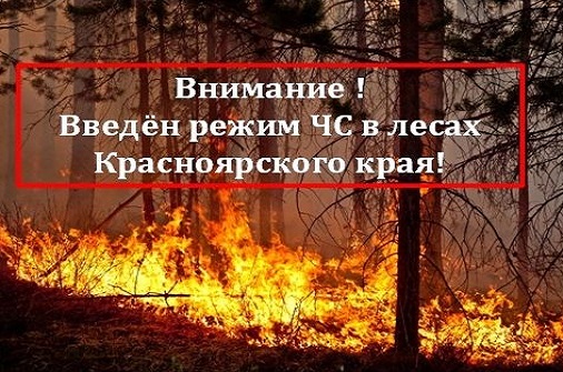 ЧС в лесах Красноярского края. ЧС в лесах Красноярского края.